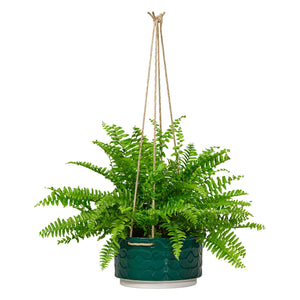Orla Kiely Ceramic Hanging Pot (Large) - 60s Stem Evergreen