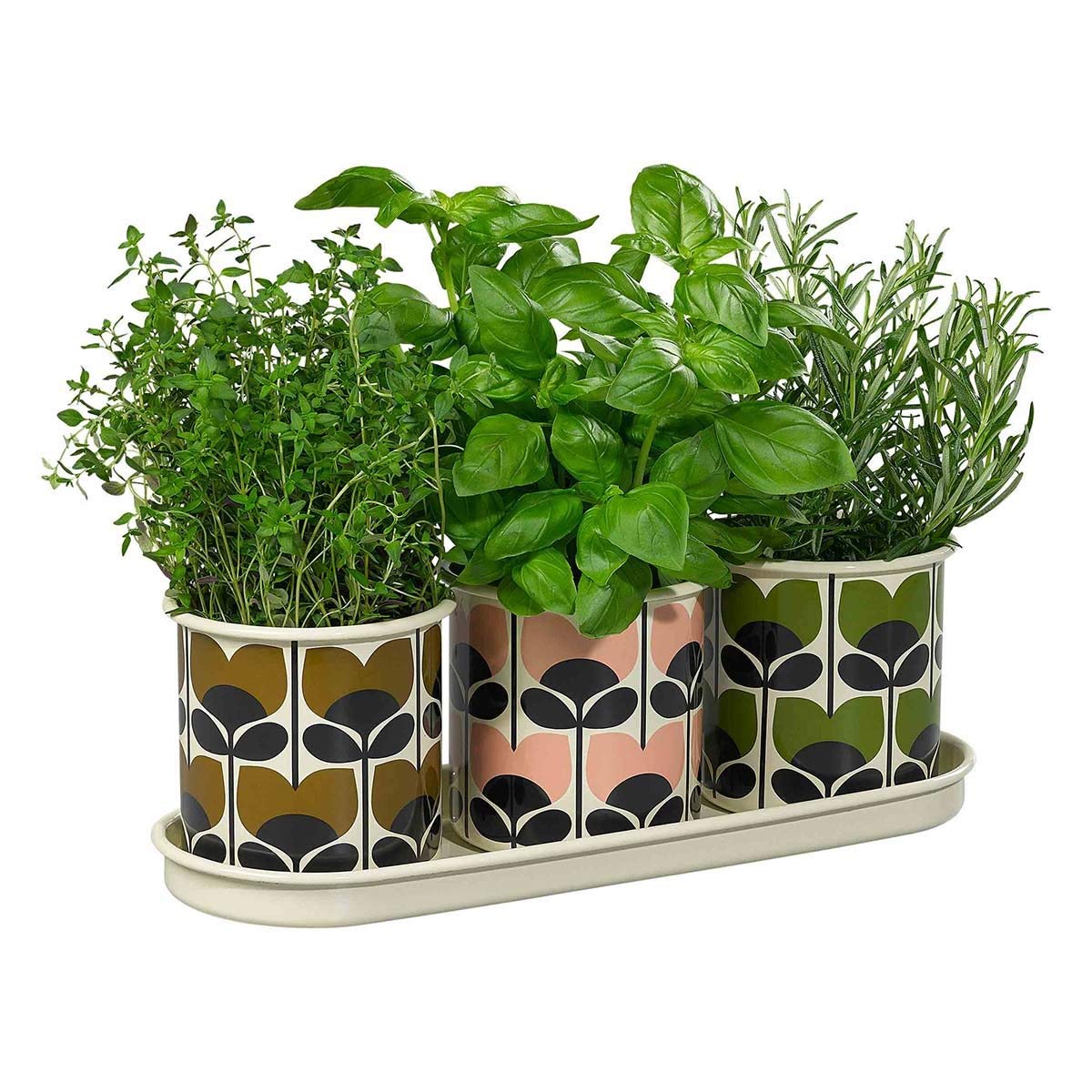 Orla kiely plant clearance pot