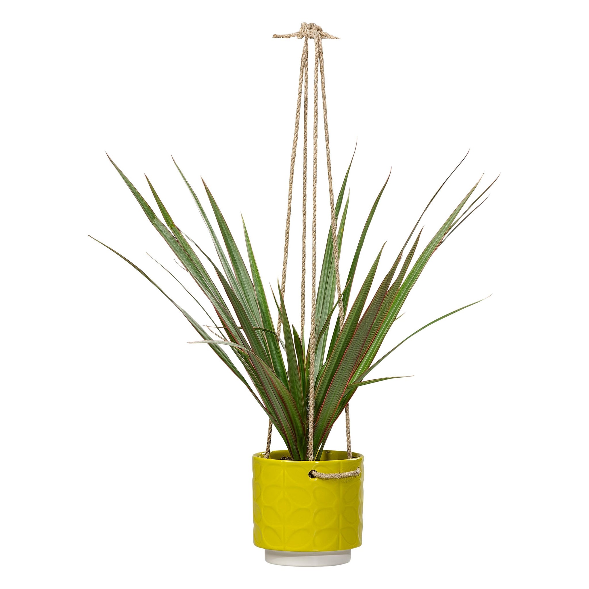 orla kiely hanging planter Orla Kiely Ceramic Hanging Pot (Small)