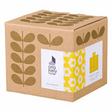 Orla Kiely Stem Vase - 6 Petal Flower Dandelion