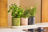 Orla Kiely Set of 3 Ceramic Herb Pots with Tray - Sixties Stem Multi