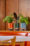 Orla Kiely Ceramic Plant Pot with Wooden Stand (Small) - 60s Stem Sky