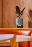 Orla Kiely Ceramic Plant Pot with Wooden Stand (Small) - 60s Stem Sky