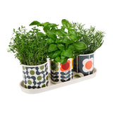 Orla Kiely Set of 3 Enamel Herb Pots + Tray - Big Spot (Shadow, Stem, Abacus)